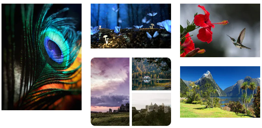 pexels photo